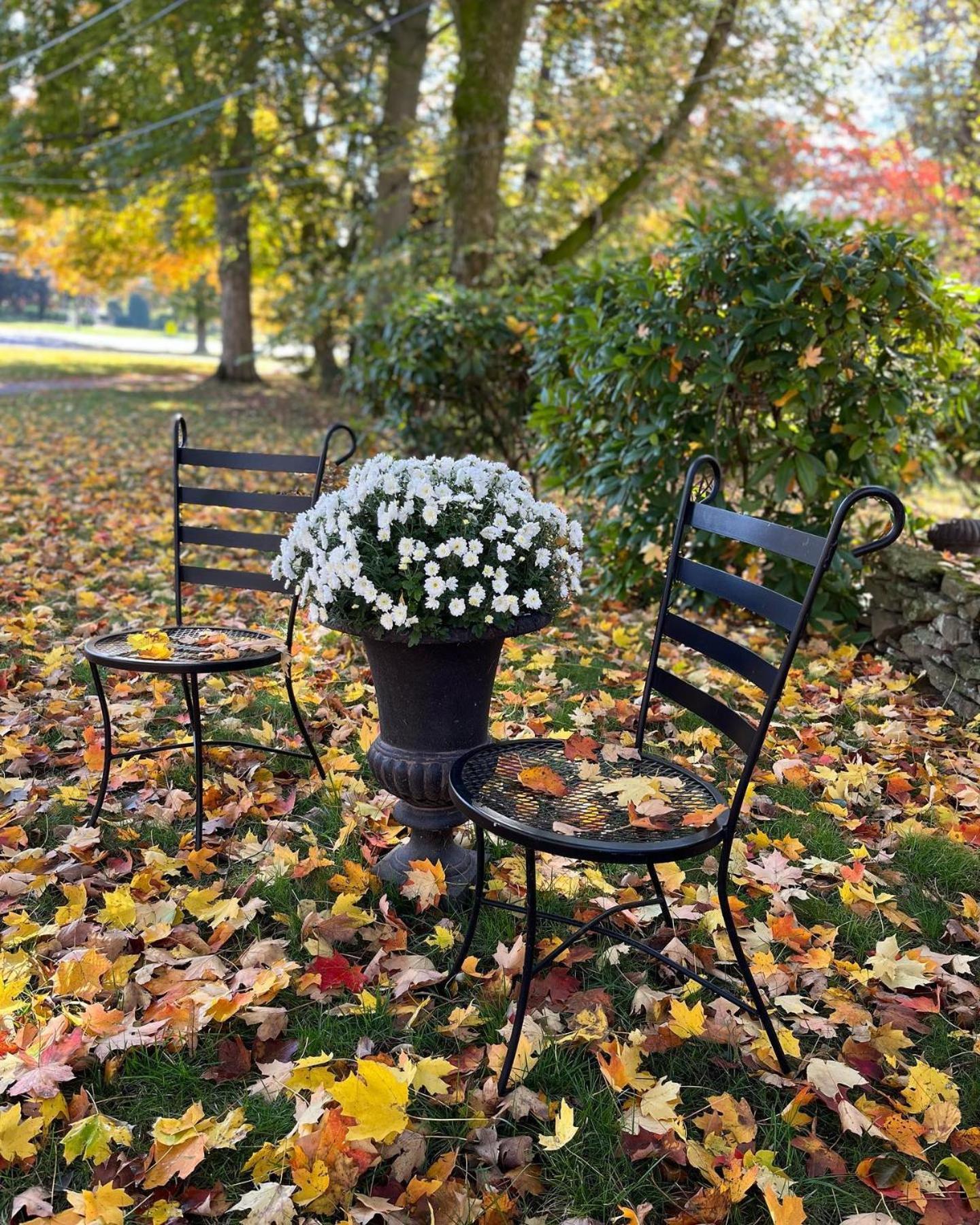 Antique1242 British Bed & Breakfast Enfield Eksteriør bilde